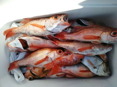 康仁丸・ジギング釣り果